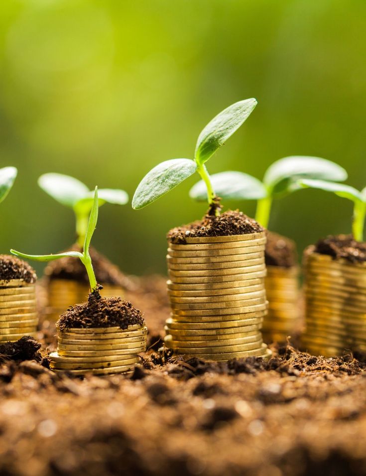 Budgeting Strategies?>